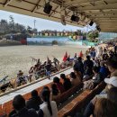 더마파크 공연장 이미지