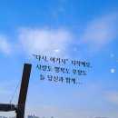 그림애카페'다시.여기서' 이미지