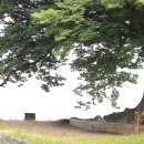 온천과 함께하는 솔바람길 이미지