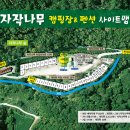 자작나무펜션 캠핑장 이미지