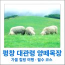 한두목장 이미지