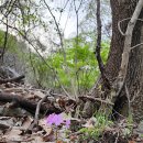 구읍리 석불입상 이미지