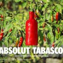 매시코리아 이미지