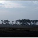 원동리 마을회관 이미지