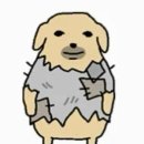 시온 | 위시 버블 왜 안 해 (시온,리쿠 버블 한 달 후기)