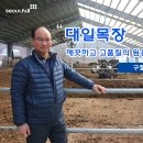 대일목장 네이버블로그