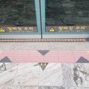 고속터미널역 9호선 | 강남 고속터미널 빵집 BGT 호두단팥빵 고속터미널역점| 가는 법•종류 등 찐후기 🍞