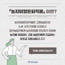 분이양
