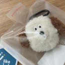 [🐶브런치브라더 부클 에어팟 파우치] 후기 및 가격비교, 최저가 정보
