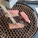 숲속애소 이미지