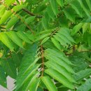 비산 빗물펌프장 이미지