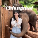 wellness | 치앙마이 님만해민 마야몰 근처 마사지샵 DN WELLNESS - 내돈내산 후기