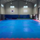 팀케이태권도장 이미지