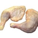 하비동물병원 이미지