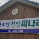 박소현미나리 이미지