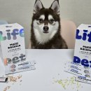 강아지의 품격 | 댕댕이 활력 지키미 강아지 영양제! 라이프펫 멀티밸런스 전연령형·시니어형 비교 후기🐾