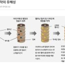 셀라미용실 이미지