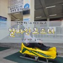 스카이안경 | [단양 여행] 만천하스카이워크 알파인코스터 | 내돈내산 후기, 액티비티 추천, 주차, 스릴만점