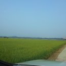 송용리1 이미지