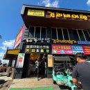 걸리버여행기 | [제주 우도 놀거리] 전기스쿠터 렌트 걸리버여행기 내돈내산 후기