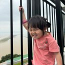 영재몬테소리유치원 | 교재없이 수업 하는 명지 베베구쯔 몬테소리 후기