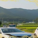 대박렌트카 이미지