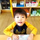 솜반 이미지