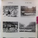 봉화중학교 | 재산중학교(봉화) 13회