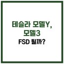 코리아블랙밸트센터태권도장 | 테슬라 모델Y, 모델3 FSD 될까?