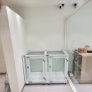 도그런살롱 이미지