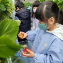 보은농장2 이미지