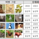 2025년 을사년(乙巳年) 삼재 해석 이미지