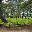 송림공원 내 이미지