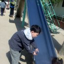 보수초등학교 이미지