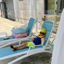 (사진 많아요📸) 부여 롯데리조트 아쿠아 가든 및 박물관 견학 ◡̈ - 지역사회 연계 이미지