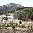 동아알앤씨