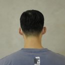 신정수석 이미지