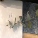 수지봄한의원 이미지