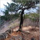 고향산천휴게소 이미지