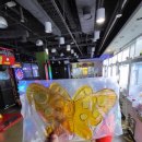 나비 게임장 이미지