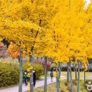 원적산공원 이미지