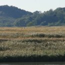 상록수역 페달로 앞 이미지