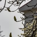 금호동 장미아파트 이미지