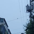 고명치과의원 | 부천 치과에서 어머니 임플란트 상담 함께 다녀온 후기입니다