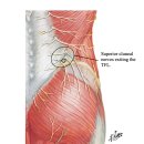 더나음 피티 이미지