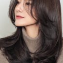 체스미용실 네이버블로그