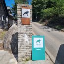 스톤래빗 이미지