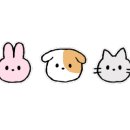 퍼피로비 이미지