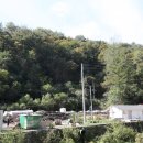 박정호농장(1농장) 이미지