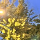 우주-무한궤도 | 2025 10월 국립현대미술관 방문 후기 | 2025 올해의 작가상 | 김창열 회고전 Ι 한국현대미술...